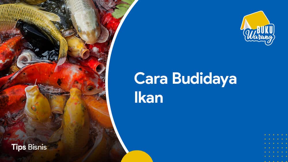 Cara Budidaya Ikan